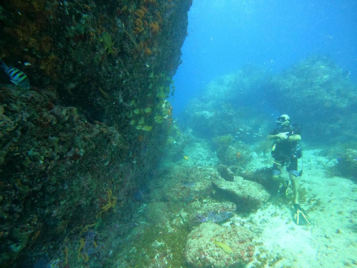 Reves De Tropiques - Grands Studios Avec Piscine Vue Ocean Acces Plage Direct Cul de Sac Kültér fotó